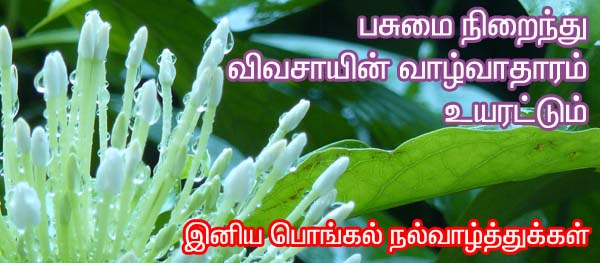 பொங்கல் வாழ்த்துக்கள் Happy Pongal - www.prohithar.com